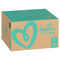 Pampers Active Baby 5 Detské plienky (11-16 kg)