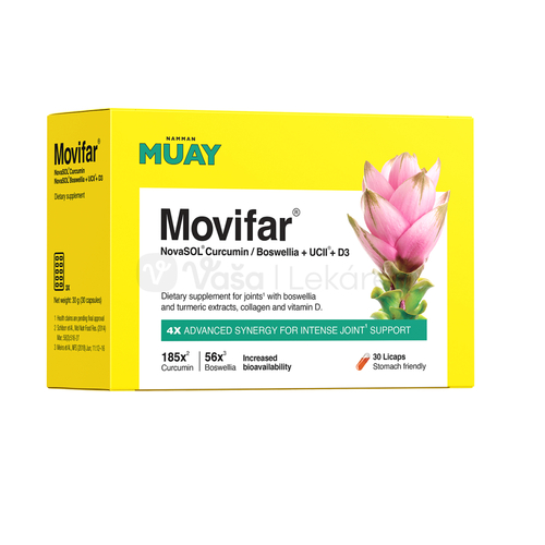 Namman Muay Movifar