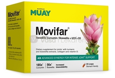 Namman Muay Movifar