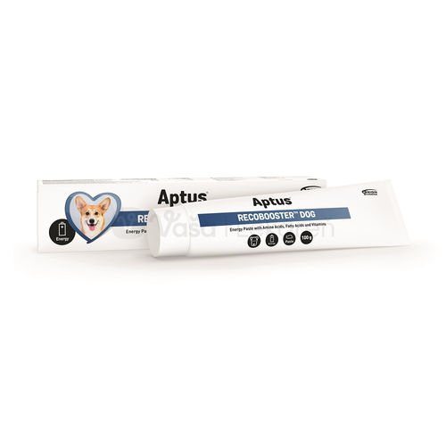 Aptus Recobooster Dog Energetická pasta pre psy