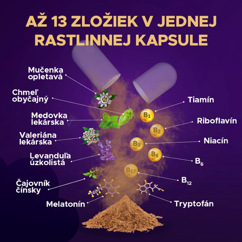 Barny's HypnoX KompleX Melatonín