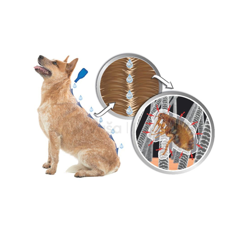 Beaphar Immo Shield Line-on m 3x3ml Spot on dog