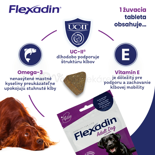 Flexadin Adult Dog