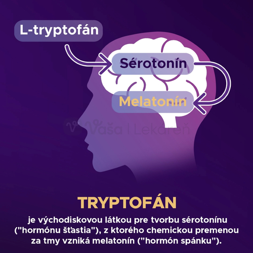 Barny's HypnoX KompleX Melatonín