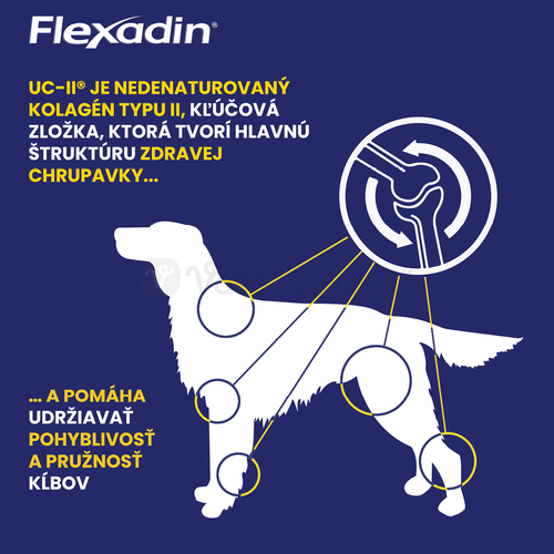 Flexadin Adult Dog