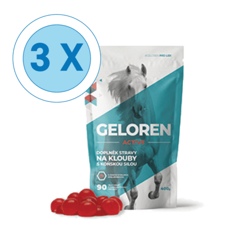 GELOREN ACTIVE kĺbová výživa pre ľudí 3 x 400g