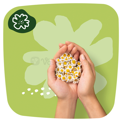 Naturella Ultra Maxi Hygienické vložky