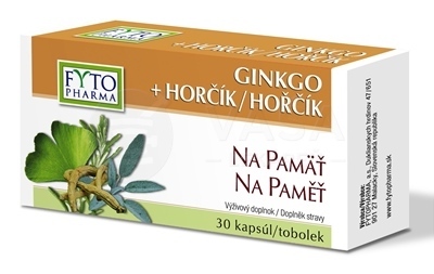 Fyto Pharma Ginko + Horčík Na pamäť