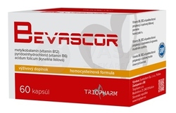 Bevascor