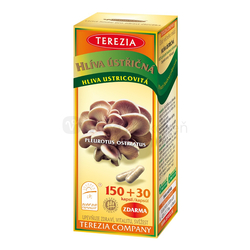 TEREZIA Hliva ustricovitá