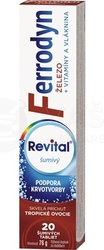 Revital Ferrodyn
