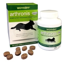 arthronis FÁZA 2