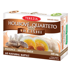 TEREZIA Hubové quarteto s reishi
