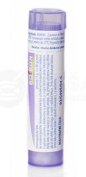 Boiron Arnica Montana CH30