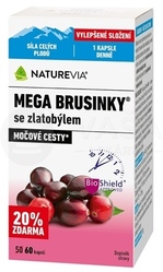Swiss Naturevia Mega Brusnice so Zlatobyľou