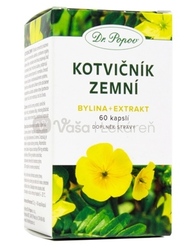 Dr. Popov Kotvičník zemný
