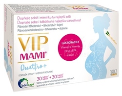 VIP Mami Quattro