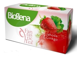 Biogena Fantastic Tea Bylinný čaj Jahoda & Ginkgo