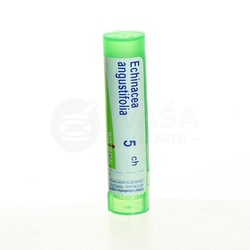 Boiron Echinacea Angustifolia CH5