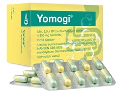 Yomogi 250 mg