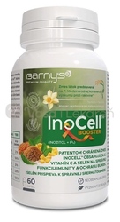 Barny's InoCell Booster