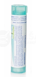 Boiron Arnica Montana CH200