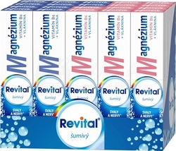 Revital Magnézium + B6 Šumivý Mix (Box)