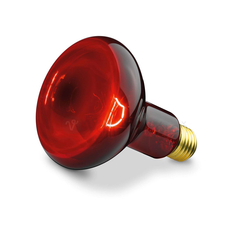 Beurer Infra žiarovka do infralampy 100W (IL 11, SIL 06, IL 808)