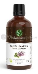 Green Idea Šalvia lekárska