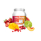 Kompava Juicy Protein Clear Whey Isolate