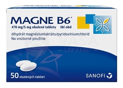 Magne B6