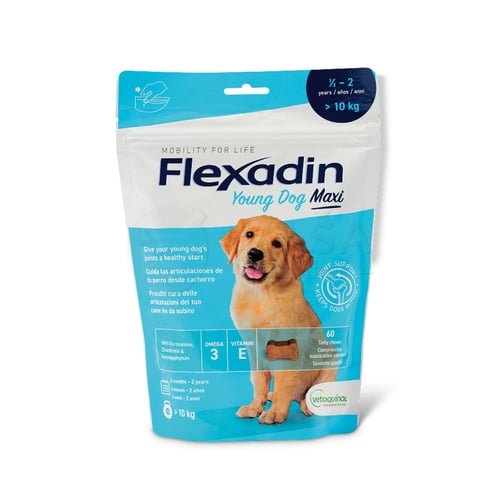 Flexadin Young Dog Maxi