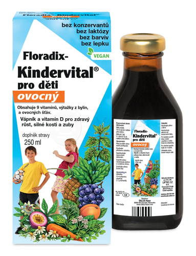 Salus Floradix Kindervital fruity