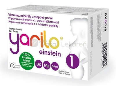 Yarilo Einstein 1