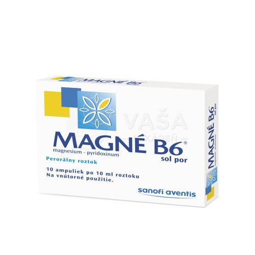 Magne B6