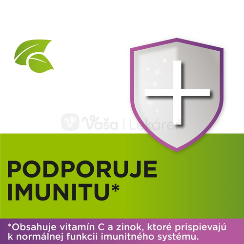 StrepHerbal Baza čierna a Echinacea s vitamínom C a Zinkom
