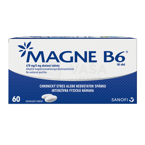 MAGNE B6