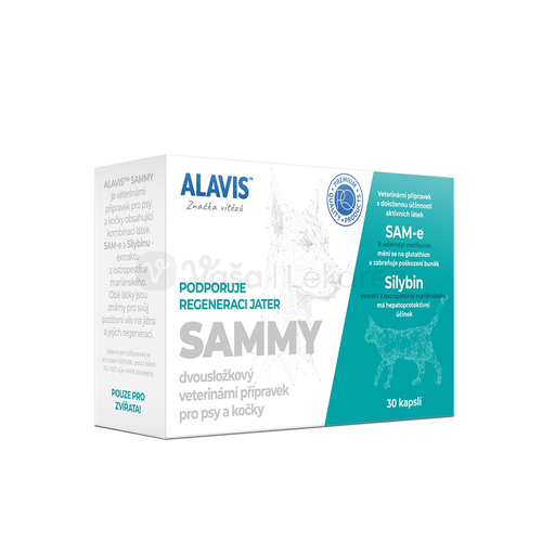 Alavis Sammy 30cps xxx