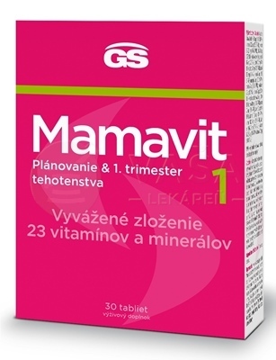 GS Mamavit 1, Plánovanie a 1. trimester