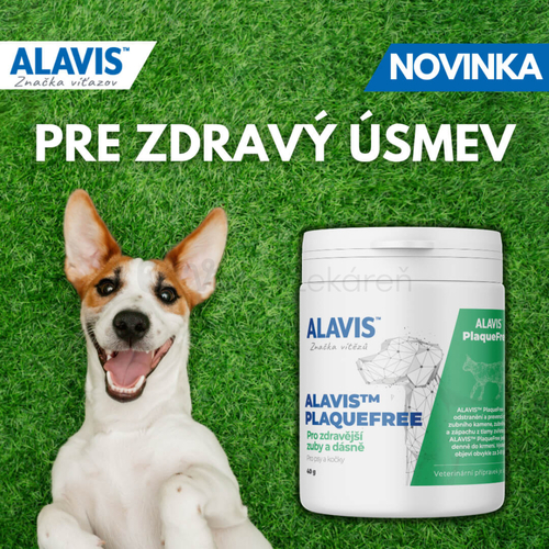 Alavis Plaquefree