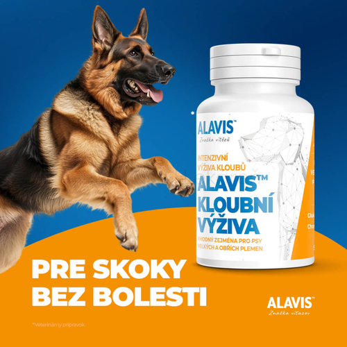 Alavis Kĺbová Výživa