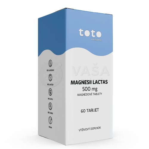 TOTO Magnesii lactas 500 mg