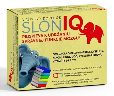 SlonIQ