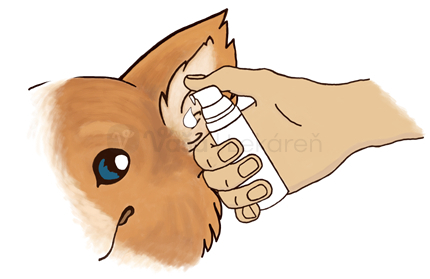 Tekute Stuple do usi 50ml Hluchatka