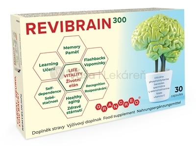 Revibrain