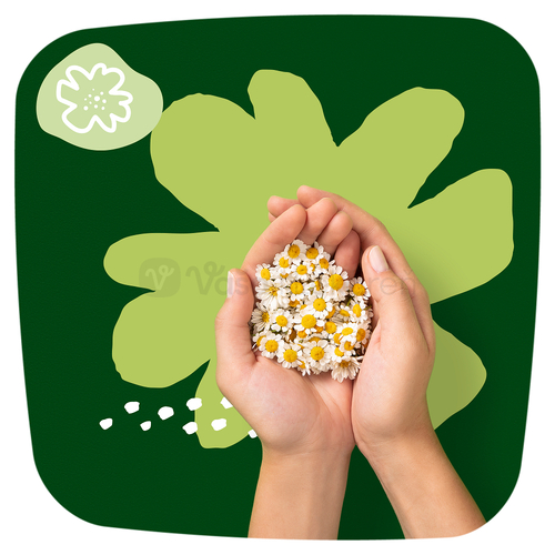 Naturella Classic Night Hygienické vložky