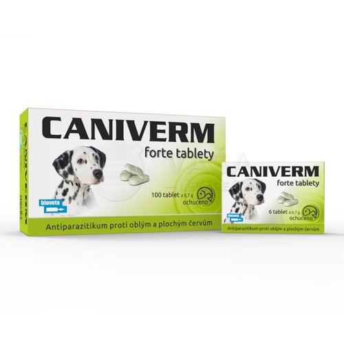 Caniverm Forte tbl 100x700mg 100364