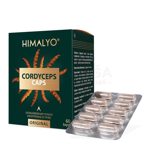 Himalyo Cordyceps Caps