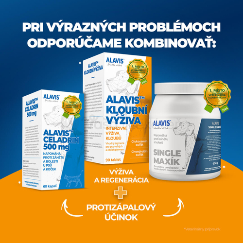 Alavis Kĺbová Výživa