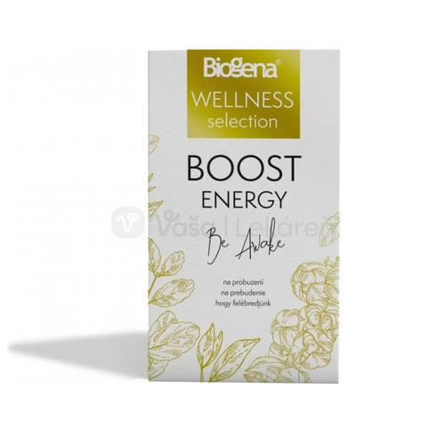 Biogena Wellness Boost Energy Bylinný čaj